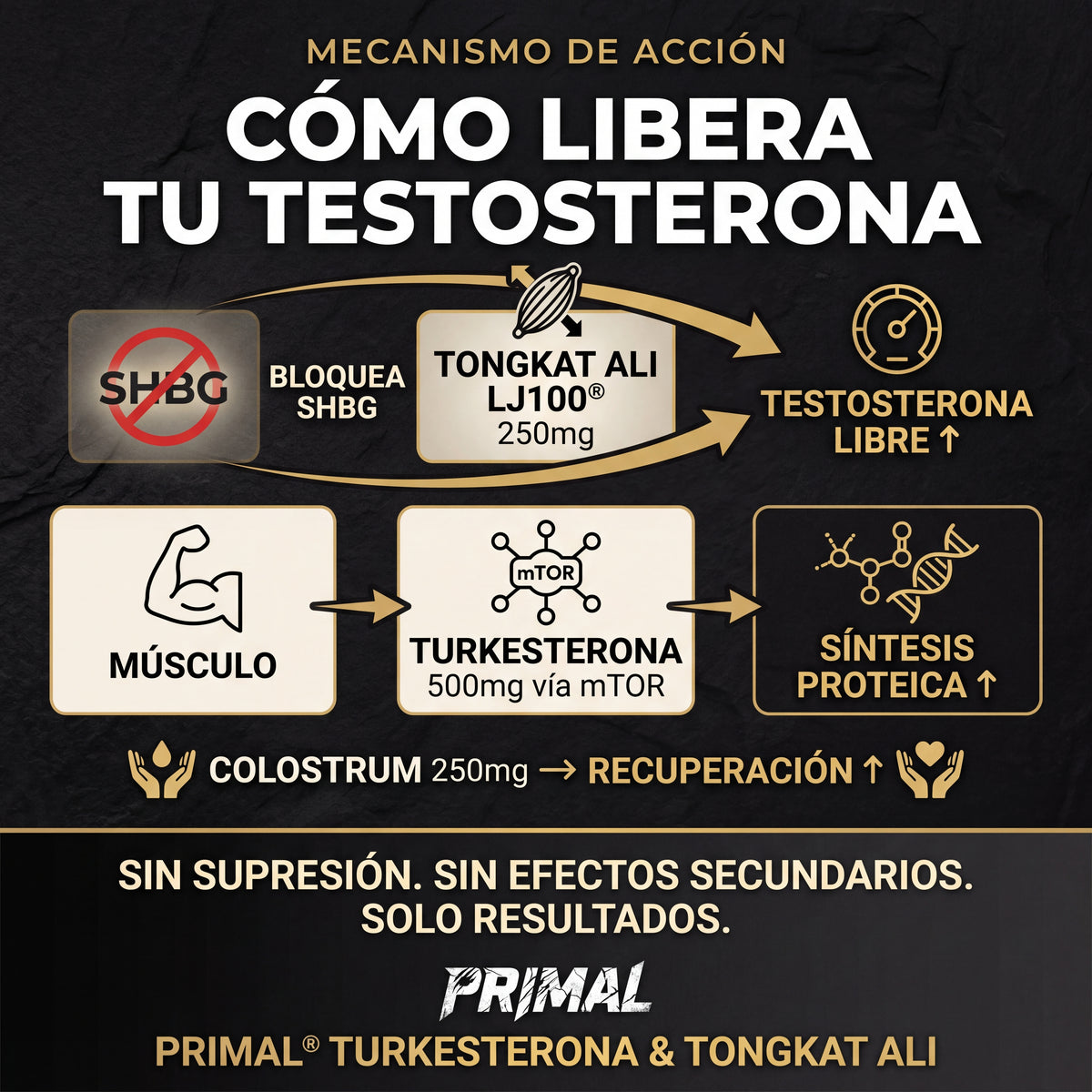PRIMAL® Gominolas de Alto rendimiento