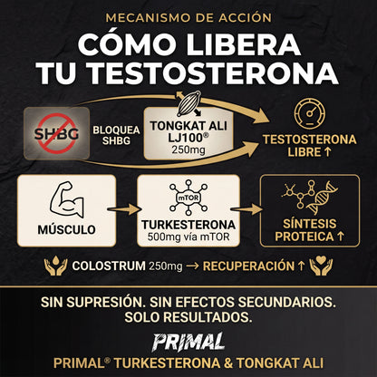 PRIMAL® Gominolas de Alto rendimiento